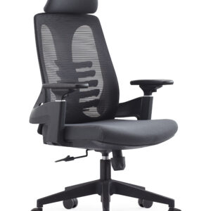 Spine Revolving Chair