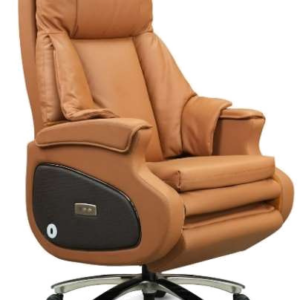 JN Cozee Premium Electric Recliner